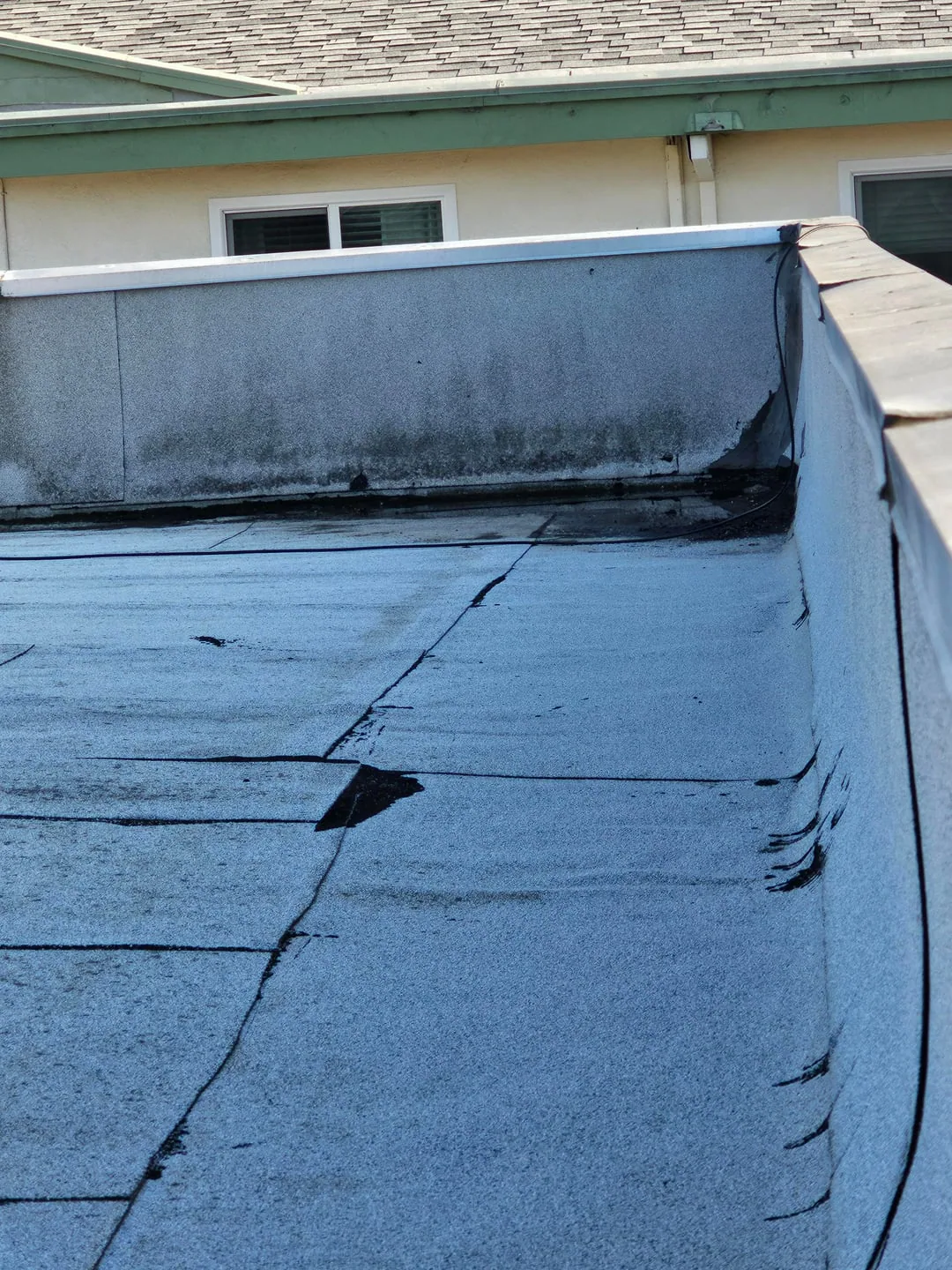 Membrane Puncture Repair