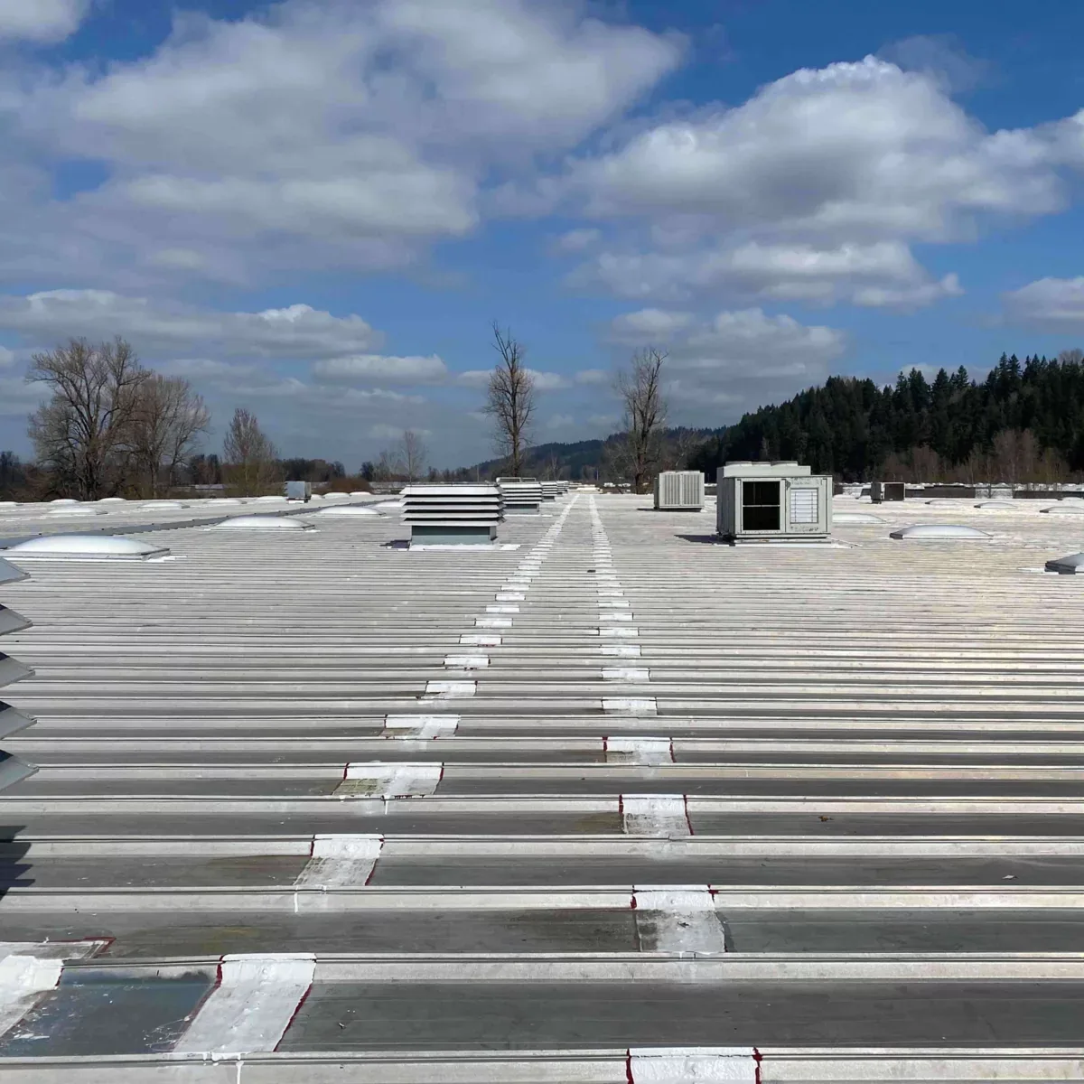 Seam Failure Roof Repair